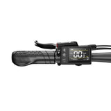 DUOTTS C29 Max 29" Mountain Electric Bike 960W Peak Motor 48V 18Ah Battery