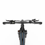 DUOTTS C29 Max 29" Mountain Electric Bike 960W Peak Motor 48V 18Ah Battery