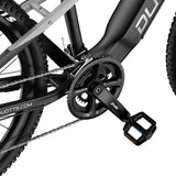DUOTTS E29 27.5" Off Road Electric Bike 250W Motors 48V 13.5Ah Battery