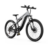 DUOTTS E29 27.5" Off Road Electric Bike 250W Motors 48V 13.5Ah Battery