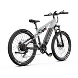 DUOTTS E29 27.5" Off Road Electric Bike 250W Motors 48V 13.5Ah Battery
