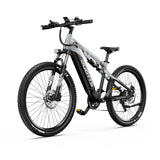 DUOTTS E29 27.5" Off Road Electric Bike 250W Motors 48V 13.5Ah Battery