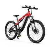 DUOTTS E29 27.5" Off Road Electric Bike 250W Motors 48V 13.5Ah Battery