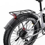 DUOTTS F26 26" Electric Mountain Bike 750W*2 Motors 48V 20Ah Battery