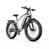 DUOTTS F26 Lite 26" Electric Mountain Bike 500W Motors 48V 18Ah Battery