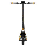 DRIVETRON DT06 11" Off-Road Electric Scooter 2*1500W Dual Motors 60V 23.4Ah Battery