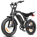 ESKUTE V202 20" Off-Road E-Bike 250W Motor 48V 20.8Ah Battery