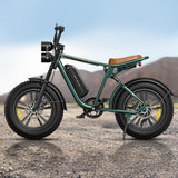 ENGWE M20 20" Fat Tire Off-road Electric Bike 750W Motor 48V 13Ah Battery
