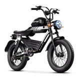 HAPPYRUN G100 Fat Tire Electric Bikes 2000W Peak Motor 38Ah Dual Batteries