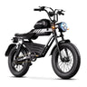 HAPPYRUN G100 Fat Tire Electric Bikes 2000W Peak Motor 38Ah Dual Batteries