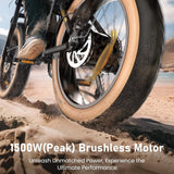 ISINWHEEL R6 20" Off Road Electric Bike 1500W Motor 48V 13Ah Battery