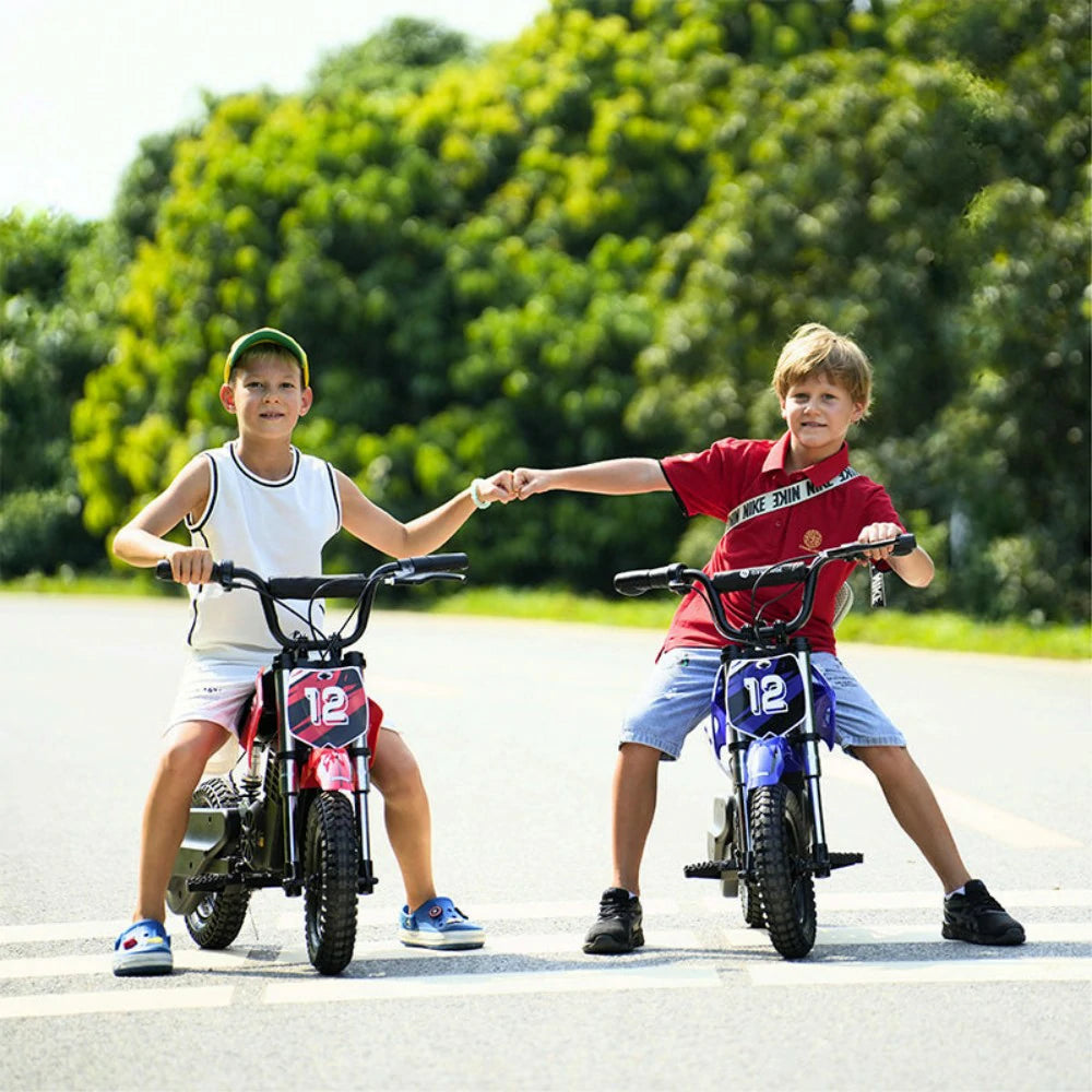 ISINWHEEL A12 12" Off Road Electric Bike For Kids 350W Motor 36V 5.2Ah Battery