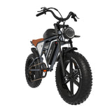 JANSNO X70GM 20" Fat Tires Electric Bikes 750W Motor 48V 14Ah+20Ah Dual Battery (US Version )
