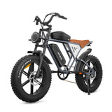 JANSNO X70GM 20" Fat Tires Electric Bikes 750W Motor 48V 14Ah+20Ah Dual Battery (US Version )