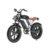 JANSNO X70GM 20" Fat Tires Electric Bikes 750W Motor 48V 14Ah+20Ah Dual Battery (US Version )