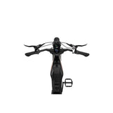 LUCKEEP M5 20" Off Road Electric Bike 1000W Motor 48V 15Ah/35Ah Battery