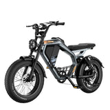 LUCKEEP M5 20" Off Road Electric Bike 1000W Motor 48V 15Ah/35Ah Battery