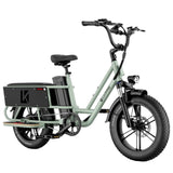 LUCKEEP X5 Lite 20" Cargo Electric Bike 750W(1400W Peak) Motor 48V 20Ah Battery