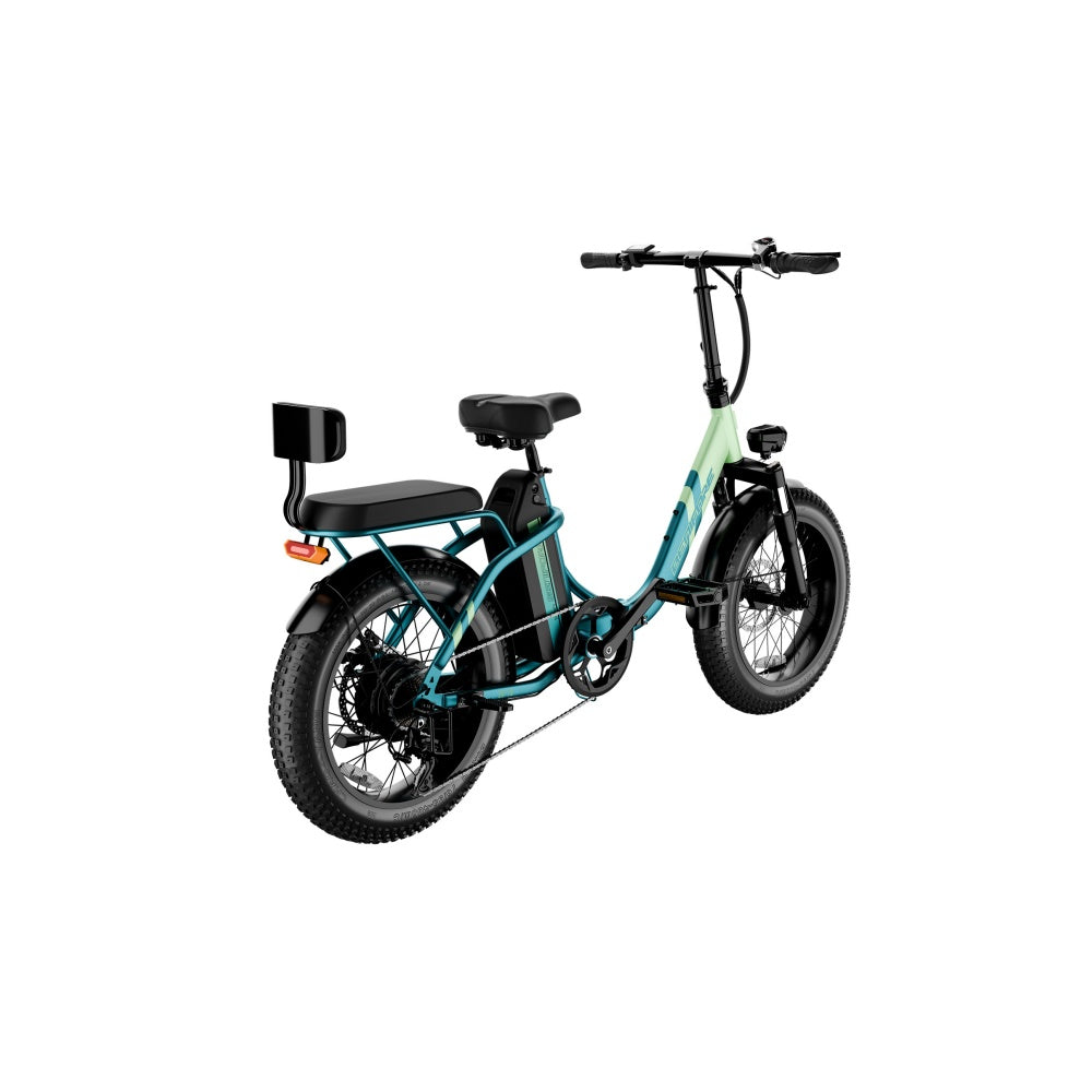 LUCKEEP C23 20" Folding Electric Bike 750W Motor 48V 13Ah Battery