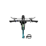 LUCKEEP C23 20" Folding Electric Bike 750W Motor 48V 13Ah Battery