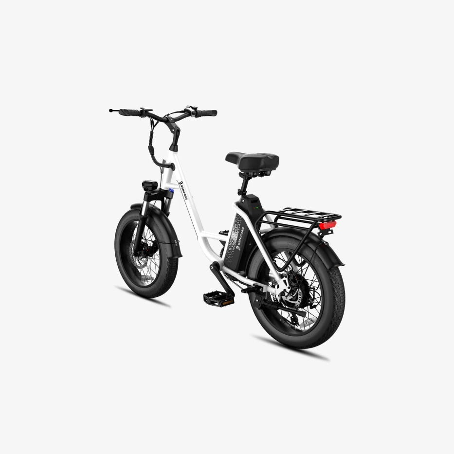 LUCKEEP C27 20" Step-Thru Cargo Electric Bike 750W(1200W Peak) Motor 48V 13Ah Battery