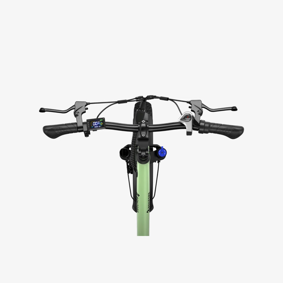 LUCKEEP C27 20" Step-Thru Cargo Electric Bike 750W(1200W Peak) Motor 48V 13Ah Battery