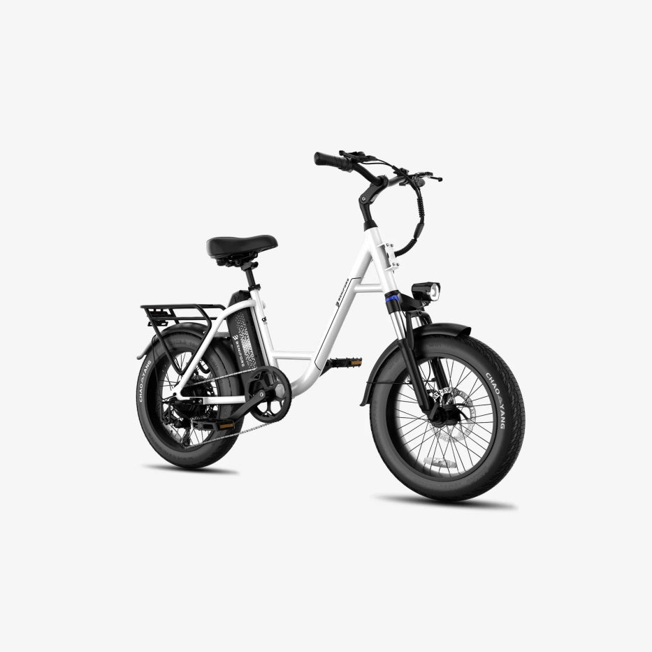 LUCKEEP C27 20" Step-Thru Cargo Electric Bike 750W(1200W Peak) Motor 48V 13Ah Battery