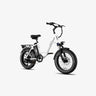 LUCKEEP C27 20" Step-Thru Cargo Electric Bike 750W(1200W Peak) Motor 48V 13Ah Battery