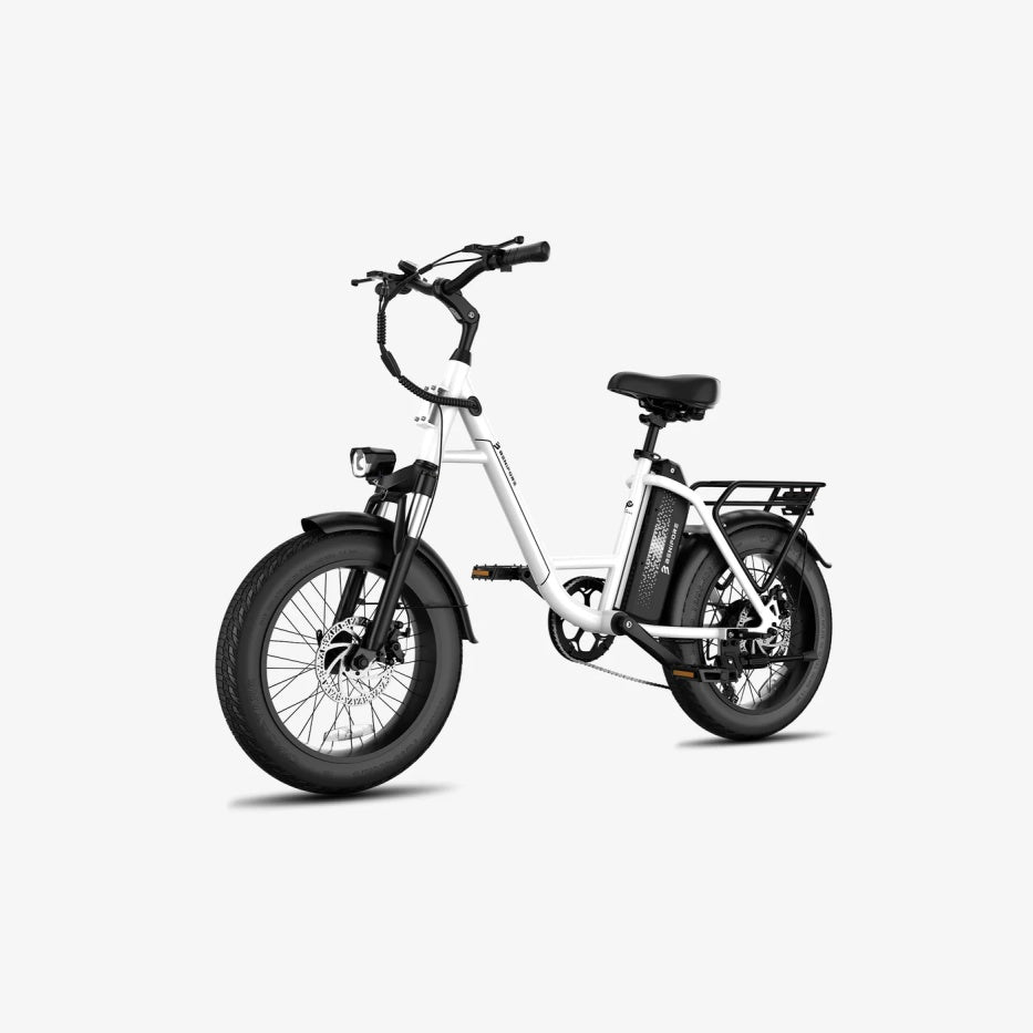 LUCKEEP C27 20" Step-Thru Cargo Electric Bike 750W(1200W Peak) Motor 48V 13Ah Battery