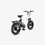 LUCKEEP C27 20" Step-Thru Cargo Electric Bike 750W(1200W Peak) Motor 48V 13Ah Battery