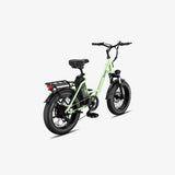 LUCKEEP C27 20" Step-Thru Cargo Electric Bike 750W(1200W Peak) Motor 48V 13Ah Battery