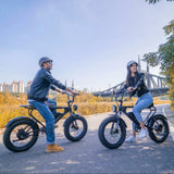 MEELOD DK200 20" Retro Moped Style Electric Bike 750W Motor 48V 13Ah Battery (CA Version)