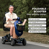 SWEETRICH MAX PLUS 9" 4 Wheel Electric Mobility Scooter  300W Motor 24V 20Ah Battery (German Version)