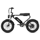 MEELOD DK200 20" Retro Moped Style Electric Bike 750W Motor 48V 13Ah Battery (CA Version)