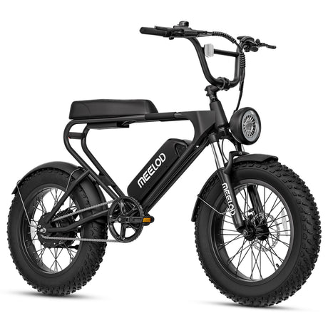 MEELOD DK200 20" Retro Moped Style Electric Bike 750W Motor 48V 13Ah Battery (CA Version)