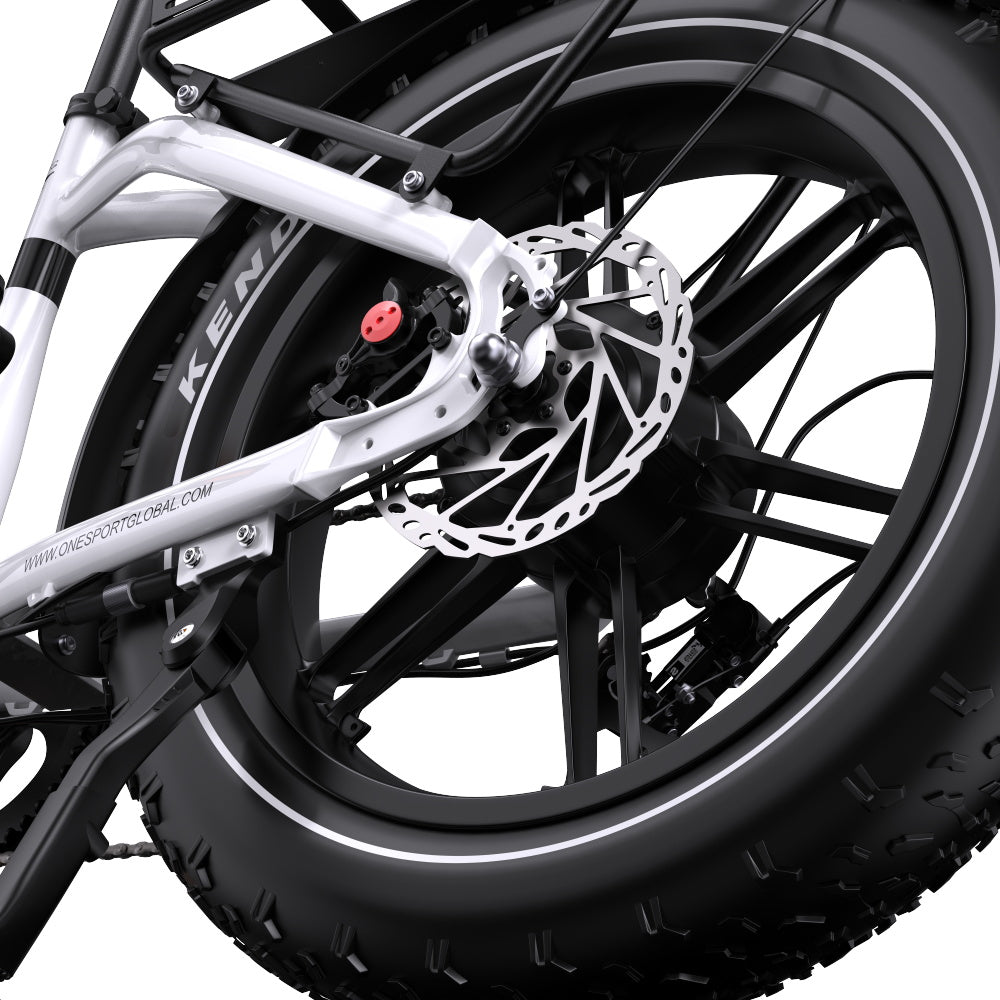 ONESPORT OT08 20" Fat Tire All-Terrain Electric Bike 500W Motor 48V 18Ah Battery