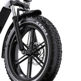 ONESPORT OT08 20" Fat Tire All-Terrain Electric Bike 500W Motor 48V 18Ah Battery