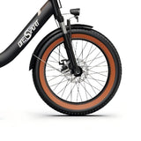 ONESPORT OT16-2 Ebike Original Equipment Tire
