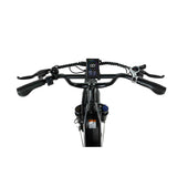 PIXAR Ride1 20" City Electric Bike 500W Motor 48V 10.4Ah Battery