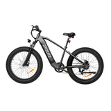 PIXAR Space1 26" Fat tire Electric Bike 500W Motor 48V 20Ah Battery
