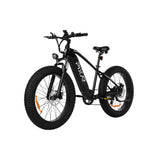 PIXAR Space1 26" Fat tire Electric Bike 500W Motor 48V 20Ah Battery