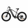 PIXAR Space1 26" Fat tire Electric Bike 500W Motor 48V 20Ah Battery