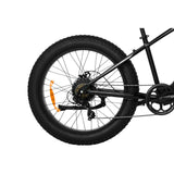 PIXAR Space1 26" Fat tire Electric Bike 500W Motor 48V 20Ah Battery