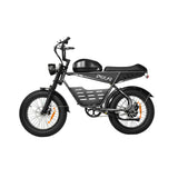 PIXAR SuperV 20" Electric Off-road Bike 500W Motor 48V 30Ah/15.6Ah Battery