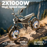 RANDRIDE DM711 20" Retro Fat Tire Electric Bike 1000W*2 Dual Motors 48V 20Ah Battery