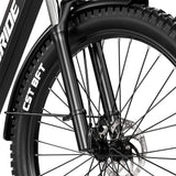 RANDRIDE YG90B 27.5"/29" Electric Mountain Bike 1000W Motor 48V 17Ah Battery
