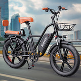 YVY FM001 20" 1000W Motor 2 Seater Fat Tire Electric Bike 48V 15Ah Battery