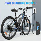 RIDSTAR S29 Pro 29" Mountain Electric Bike 1000W Motor 48V 21Ah Battery