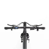 RIDSTAR S29 Pro 29" Mountain Electric Bike 1000W Motor 48V 21Ah Battery