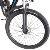 RIDSTAR S29 Pro 29" Mountain Electric Bike 1000W Motor 48V 21Ah Battery